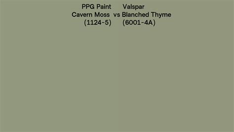 PPG Paint Cavern Moss 1124 5 Vs Valspar Blanched Thyme 6001 4A Side