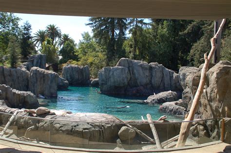 Fresno Chaffee Zoo Sea Lion Cove — Mla Engineering Consulting