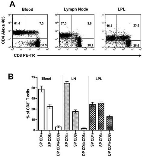 Intestinal Double‐positive Cd4 Cd8 T Cells Are Highly Activated Memory Cells With An Increased