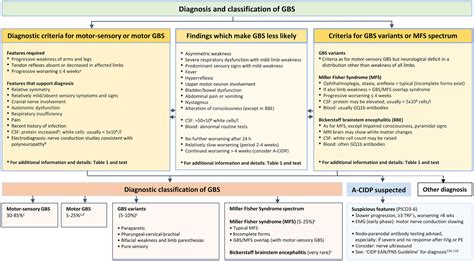 European Academy Of Neurology Peripheral Nerve Society Guideline On