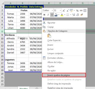 Quebra De P Gina No Excel Como Inserir Mover Excluir E Ocultar