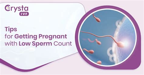 Tips For Getting Pregnant With Low Sperm Count Crysta Ivf