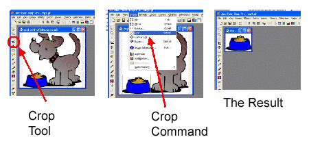 Teach ICT - GCSE ICT - graphics software and features