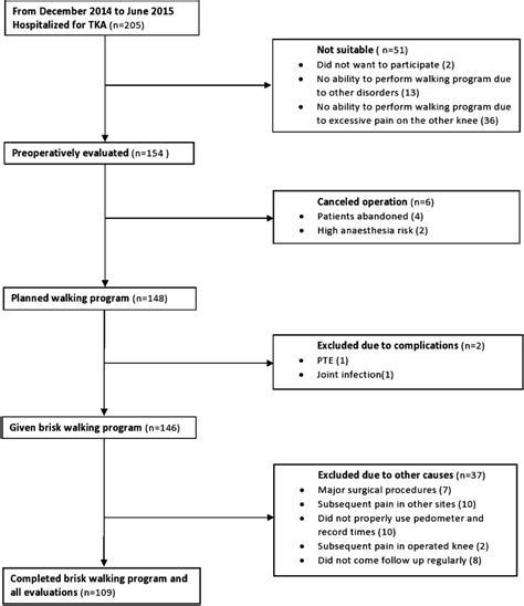 Patient Inclusion Flow Diagram Download Scientific Diagram