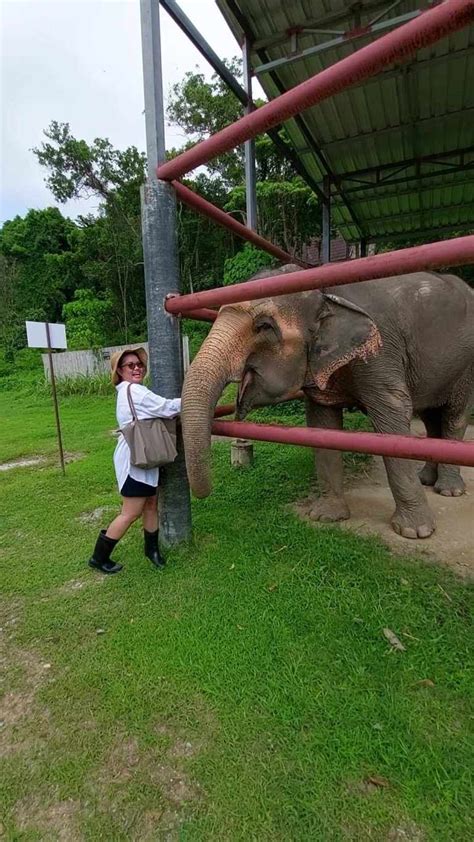 Visiting an Ethical Elephant Sanctuary in Phuket, Thailand – Food and ...