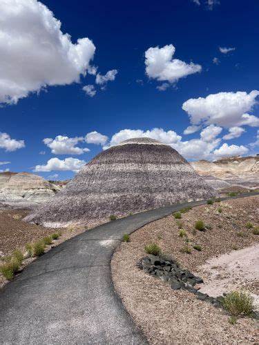 10 Best Hikes and Trails in Petrified Forest National Park | AllTrails