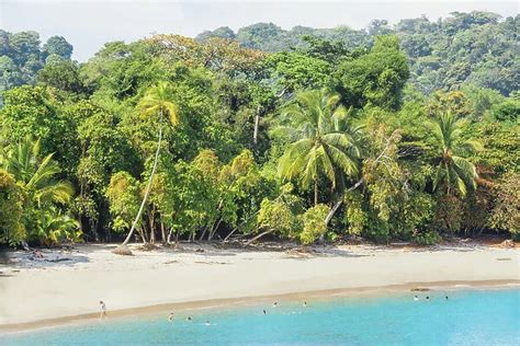 Tropical Beach Manuel Antonio National Park Quepos