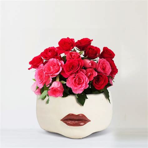 Red Lip Planter Basket And Beyond