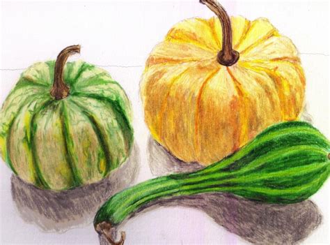 Gourd Drawing at PaintingValley.com | Explore collection of Gourd Drawing