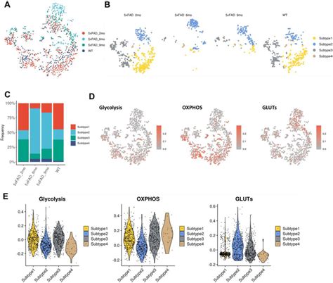 Reconstitution Of Glucose Metabolism Features Of Hippocampal Microglia