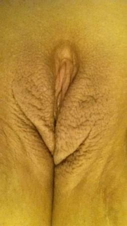Pussy Pics XHamster