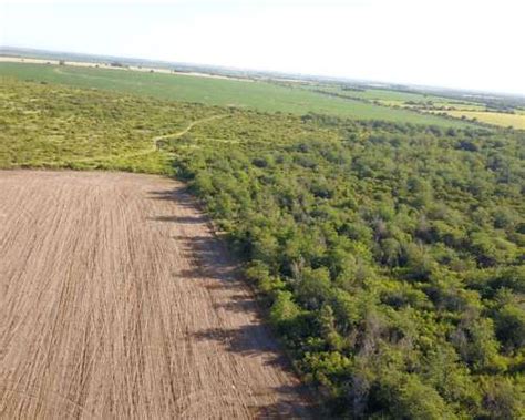 Campo Ganadero En Venta Hect Reas Rosario Del Tala Agroads