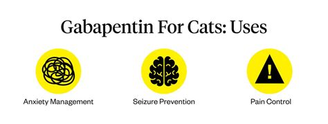 Gabapentin For Cats: Uses, Dosage & Side Effects | Dutch