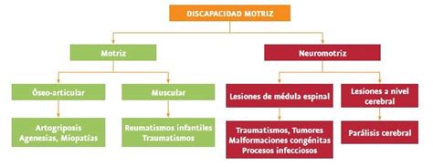 Arriba Imagen Mapa Mental De Discapacidad Abzlocal Mx