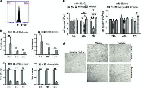 γδ T Cell Numbers After Mir 125b 5p And Mir 99a 5p Overexpression And