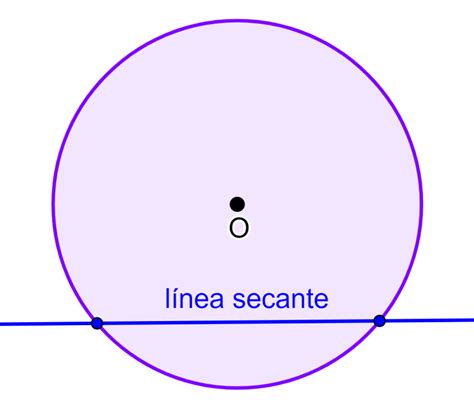 Aprende Partes De Un Círculo Con Un Diagrama Neurochips