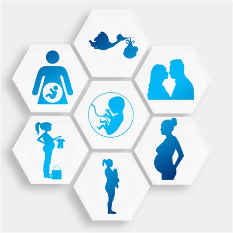 Introduction to Prenatal Development | Lifespan Development