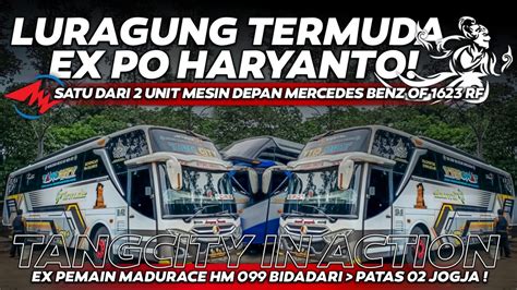 Istimewah Bus Luragung Termuda Ex Po Haryanto Pelari Madura Hm