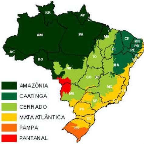 Ibama Retoma Projeto Contra Desmatamento Interrompido Em