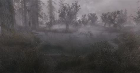 Morthal's Swamp : SkyrimPorn