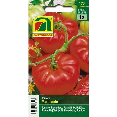 AUSTROSAAT Tomate Marmande 1 Sachet Bloomling France