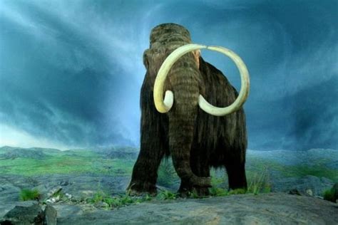 Imha Bieber: Hewan Purba “Mammoth” Akan Dihidupkan Kembali