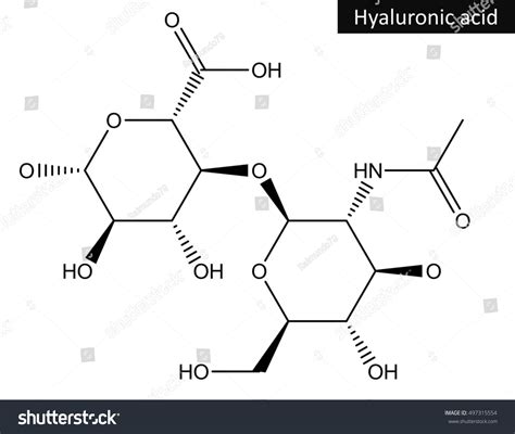 Molecular Structure Hyaluronic Acid Important Biomolecule Stock