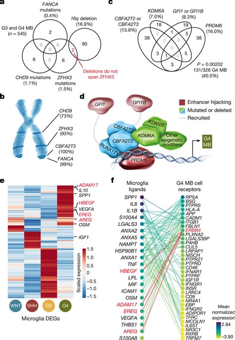 CBFA Complex Members Are Recurrently Somatically Mutated In G4 MB A