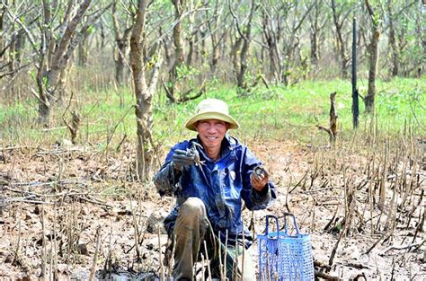 Ninh Binh Specialties Top Fascinating Food You Must Try