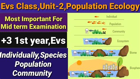 Evs Lecture Unit 2 Population Ecology Individuals Species Population Community Youtube