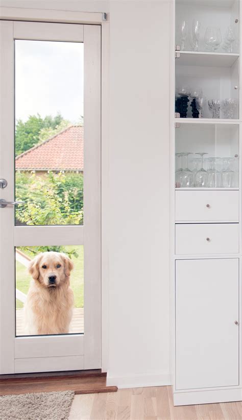 This profile explains the legacy and life of caskey mitchell 24