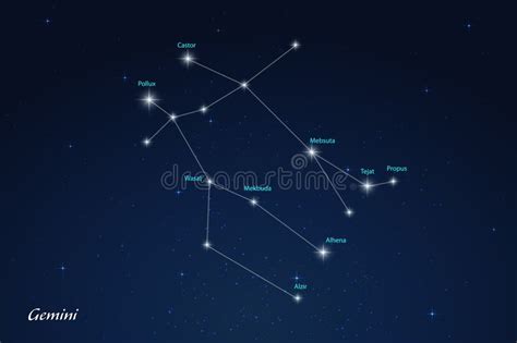 gemini constellation  star names  night sky stock vector