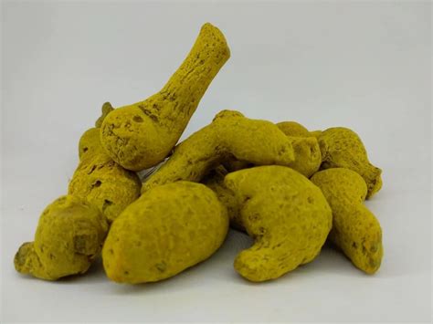 Natural Nizam Organic Whole Dried Turmeric Finger At Rs Kg Haldi