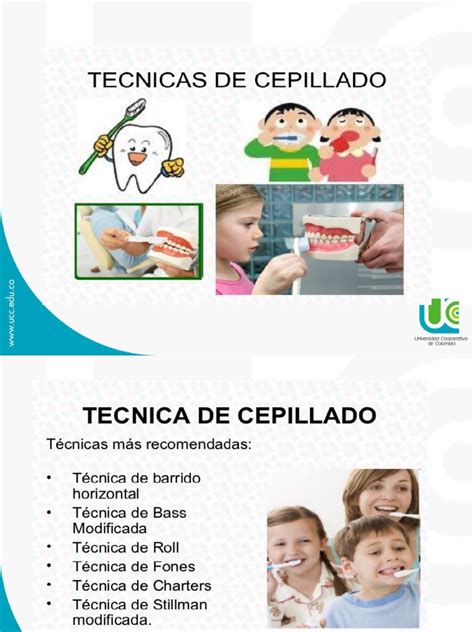 Tecnicas De Cepillado Pdf Higiene Bucal Odontologia