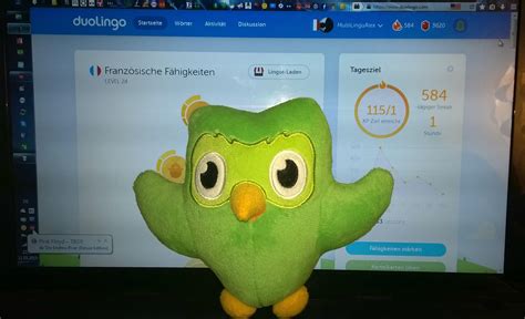 Do you want Duo owl as a plush toy? {^_^} - Duolingo