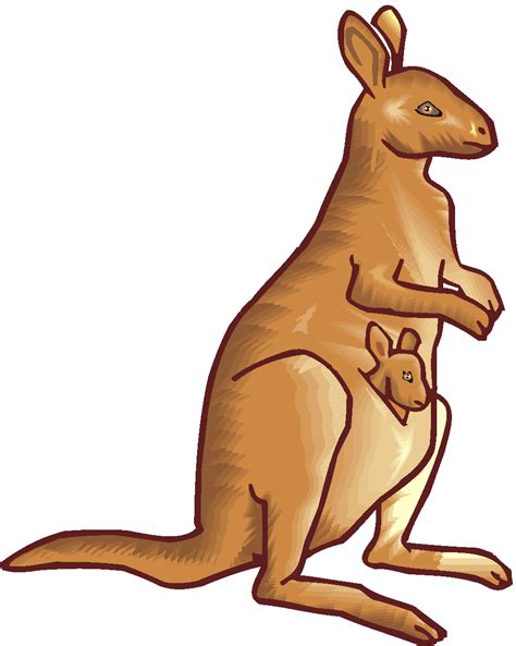 Kangaroo Clipart Free Images Clipartix