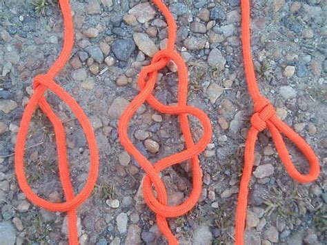 Essential Knots How To Tie The 20 Knots You Need To Know Best Knots