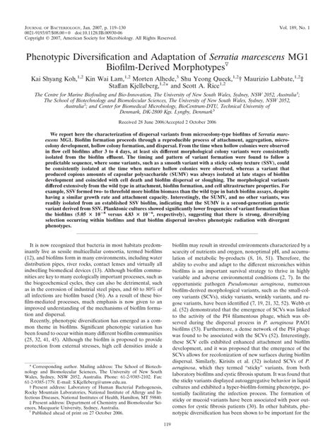 (PDF) Phenotypic Diversification and Adaptation of Serratia marcescens MG1 Biofilm-Derived ...