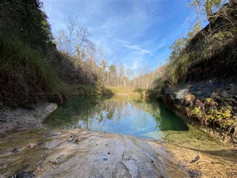 10 Best Hikes and Trails in Pedernales Falls State Park | AllTrails