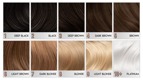 Understanding Hair Levels Light To Dark Arctic Fox Arctic Fox Hair