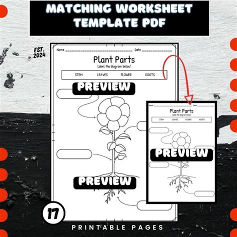matching worksheet template   teachers
