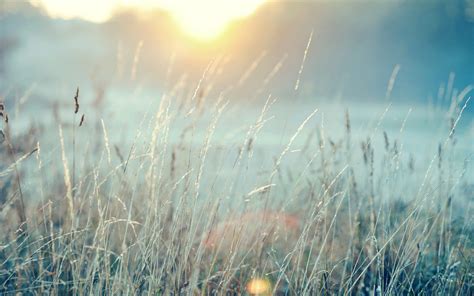 Wallpaper X Px Depth Of Field Landscape Nature