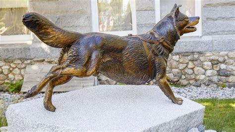 Togo, legendary sled dog, has statue unveiled at Poland Springs