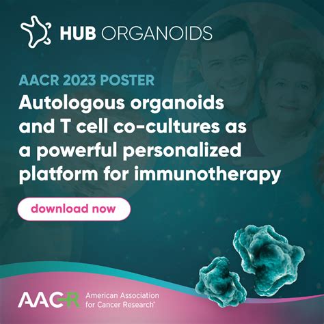 Aacr 2023 Poster Download Autologous Organoid T Cell Co Cultures