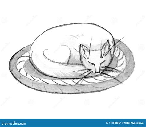 Cat Sleeping Curled Up Drawing