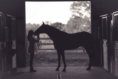 Stall Cleaning Tips | How to clean Horse Stall