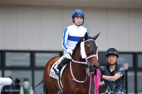 スクルプトーリス Sculptoris 競走馬データベース 競馬ラボ