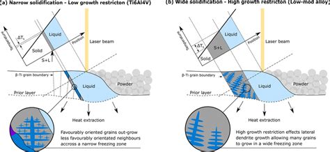 Diagram Illustrating Different Solidification Behaviour Between Alloys Download Scientific