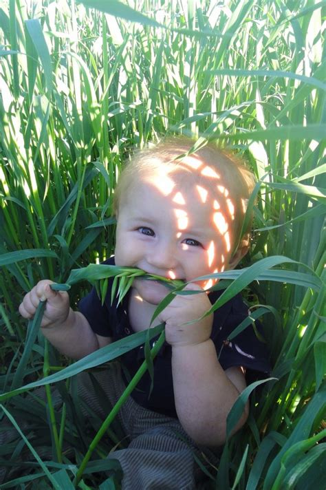 Naked Oats 9kg 20lbs Adagio Acres