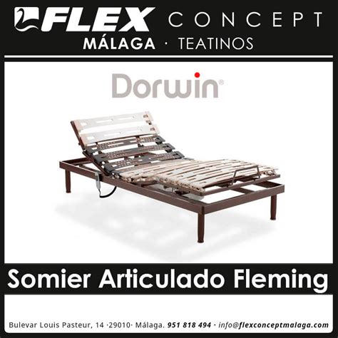 Somier Articulado Dorwin Fleming Flex Concept M Laga Teatinos